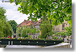 bridge, buildings, cities, europe, flowers, horizontal, leaves, ljubljana, slovenia, towns, photograph