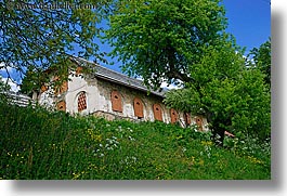 europe, hills, horizontal, houses, logarska dolina, scenics, slovenia, trees, wildflowers, photograph