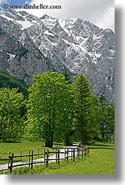 europe, fences, logarska dolina, mountains, roads, scenics, slovenia, trees, vertical, photograph