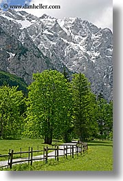 images/Europe/Slovenia/LogarskaDolina/Scenics/road-fence-n-mtns-2.jpg