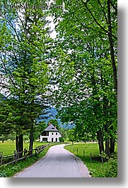 europe, logarska dolina, roads, scenics, slovenia, trees, tunnel, vertical, photograph