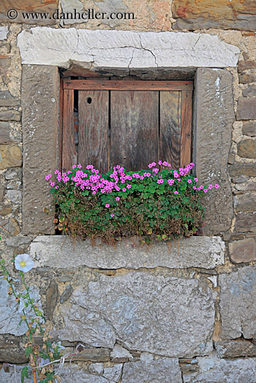 pink-flowers-in-wood-window-1.jpg