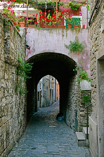 archway-n-flowers.jpg