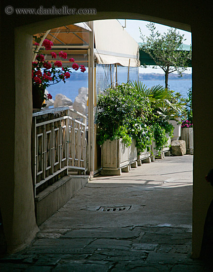 archway-n-plants.jpg