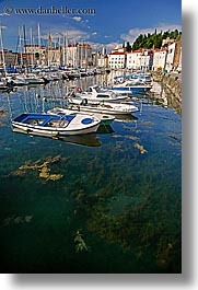 boats, europe, harbor, pirano, slovenia, vertical, water, photograph