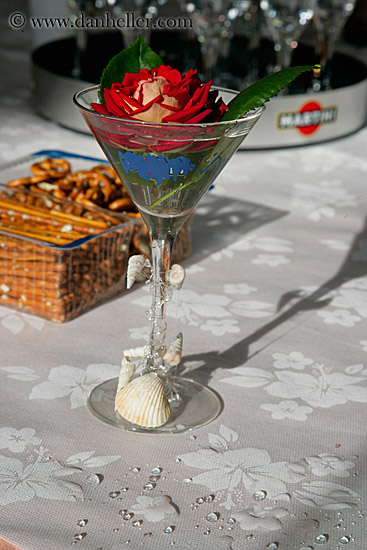 rose-in-glass.jpg