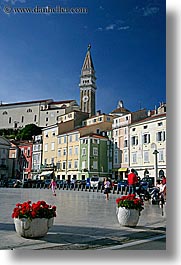bell towers, cityscapes, europe, flowers, piazza, pirano, slovenia, vertical, photograph