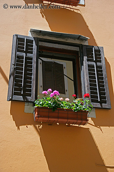 flowers-in-window-1.jpg