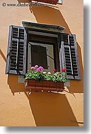 europe, flowers, pirano, slovenia, vertical, windows, photograph