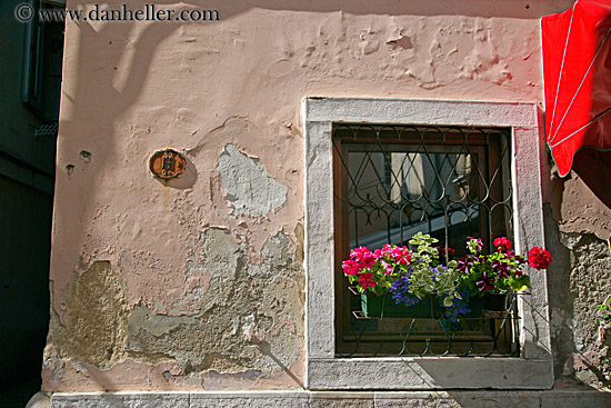 flowers-in-window-3.jpg