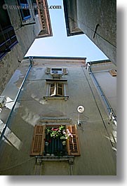 europe, flowers, pirano, slovenia, vertical, windows, photograph