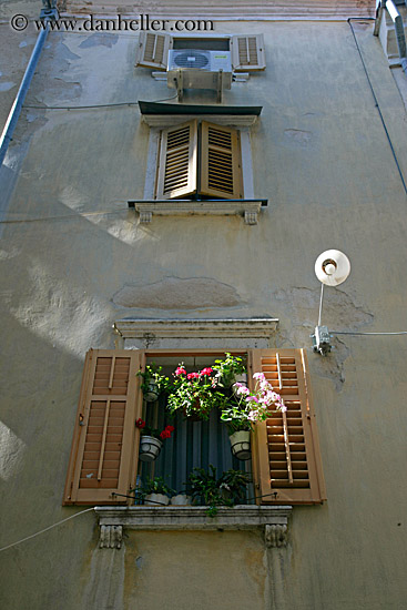 flowers-in-window-5.jpg