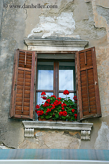 flowers-in-window-6.jpg