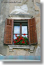 europe, flowers, pirano, slovenia, vertical, windows, photograph