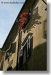 europe, flowers, pirano, slovenia, vertical, windows, photograph