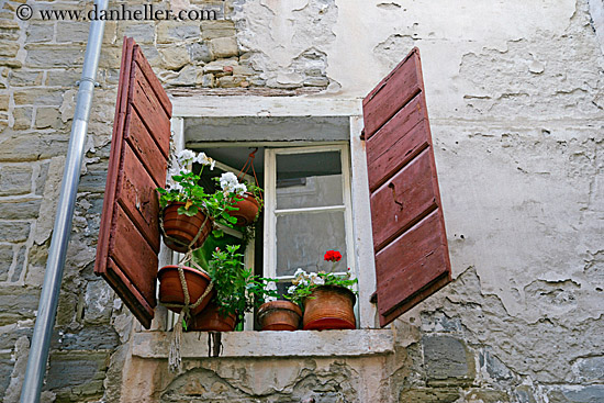 flowers-in-window-8.jpg