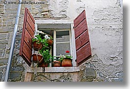 europe, flowers, horizontal, pirano, slovenia, windows, photograph