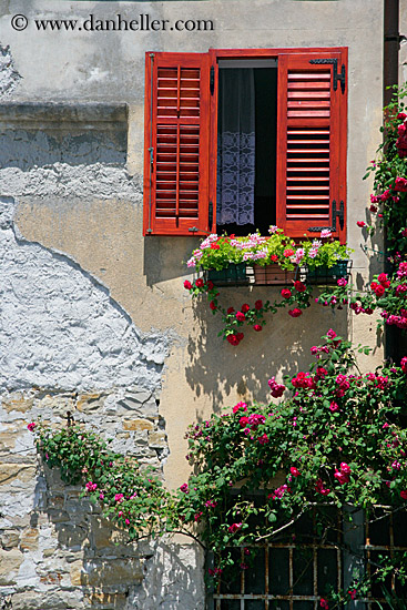 flowers-window-n-wall-1.jpg