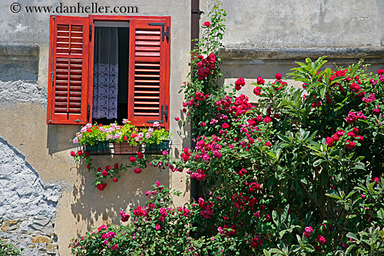 flowers-window-n-wall-2.jpg