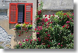 europe, flowers, horizontal, pirano, slovenia, walls, windows, photograph