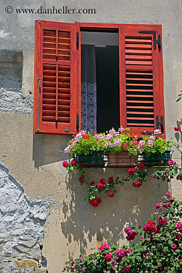 flowers-window-n-wall-3.jpg