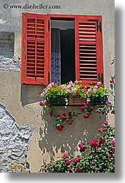 europe, flowers, pirano, slovenia, vertical, walls, windows, photograph