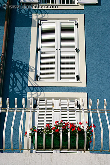 window-n-flower-on-balcony.jpg
