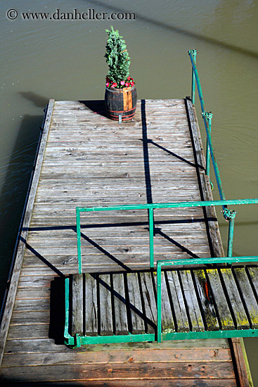 plant-on-dock.jpg