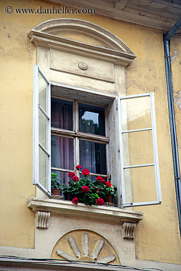 window-w-flowers.jpg
