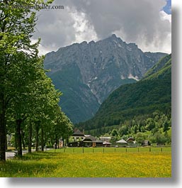 clouds, europe, mountains, scenics, slovenia, square format, trees, wildflowers, photograph