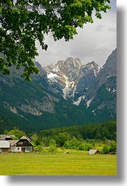 europe, mountains, scenics, slovenia, trees, vertical, wildflowers, photograph