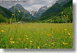 europe, horizontal, mountains, scenics, slovenia, wildflowers, photograph