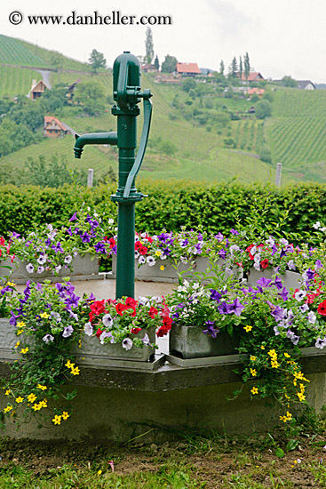 flowers-n-water_pump-1.jpg
