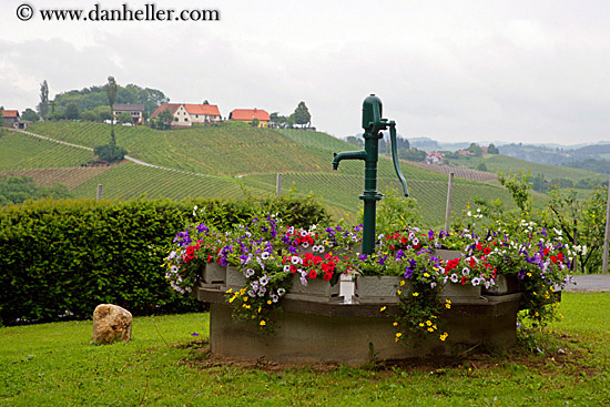 flowers-n-water_pump-2.jpg