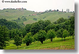 europe, foggy, horizontal, houses, slovenia, styria, vineyards, photograph