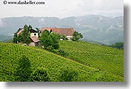 europe, foggy, horizontal, houses, slovenia, styria, vineyards, photograph