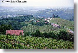 europe, foggy, horizontal, houses, slovenia, styria, vineyards, photograph