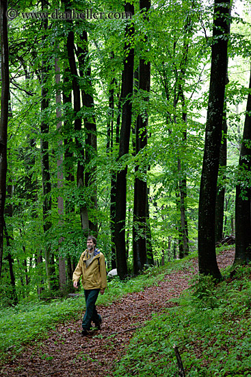 hiker-on-forest-path-2.jpg