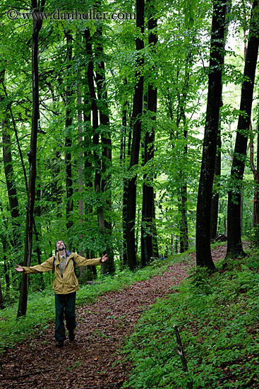 hiker-on-forest-path-3.jpg