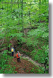 europe, forests, hikers, lush, slovenia, styria, vertical, photograph