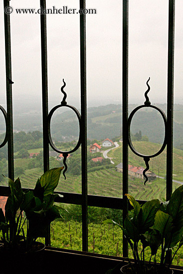 iron-gate-n-vineyard.jpg