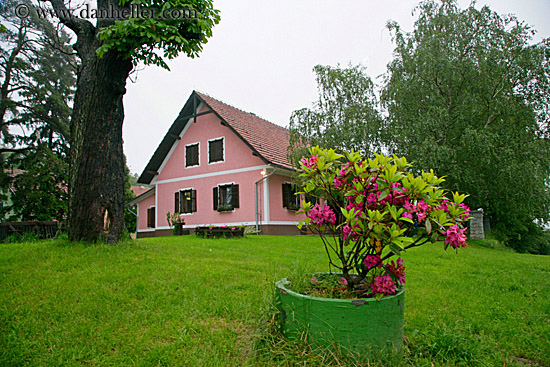 pink-house-w-azaleas.jpg