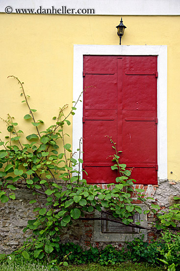 red-door-n-ivy-1.jpg