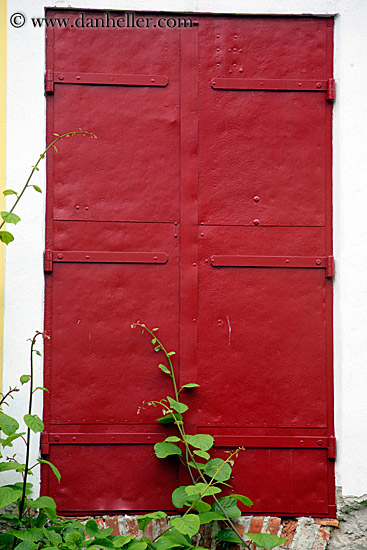 red-door-n-ivy-2.jpg