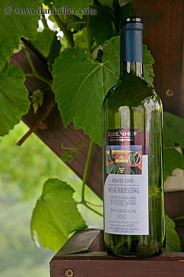 reisling-white-wine-1.jpg