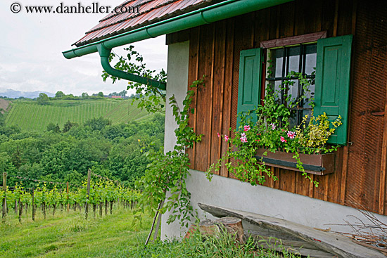 vineyard-n-house-2.jpg