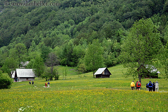 field-n-barn-2.jpg
