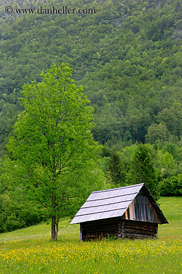 field-n-barn-3.jpg
