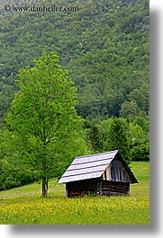 barn, europe, fields, slovenia, triglavski narodni park, vertical, wildflowers, photograph