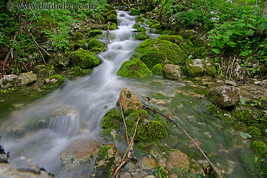 flowing-stream-in-forest-1.jpg